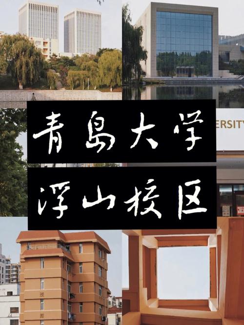 青岛大学会计哪个校区