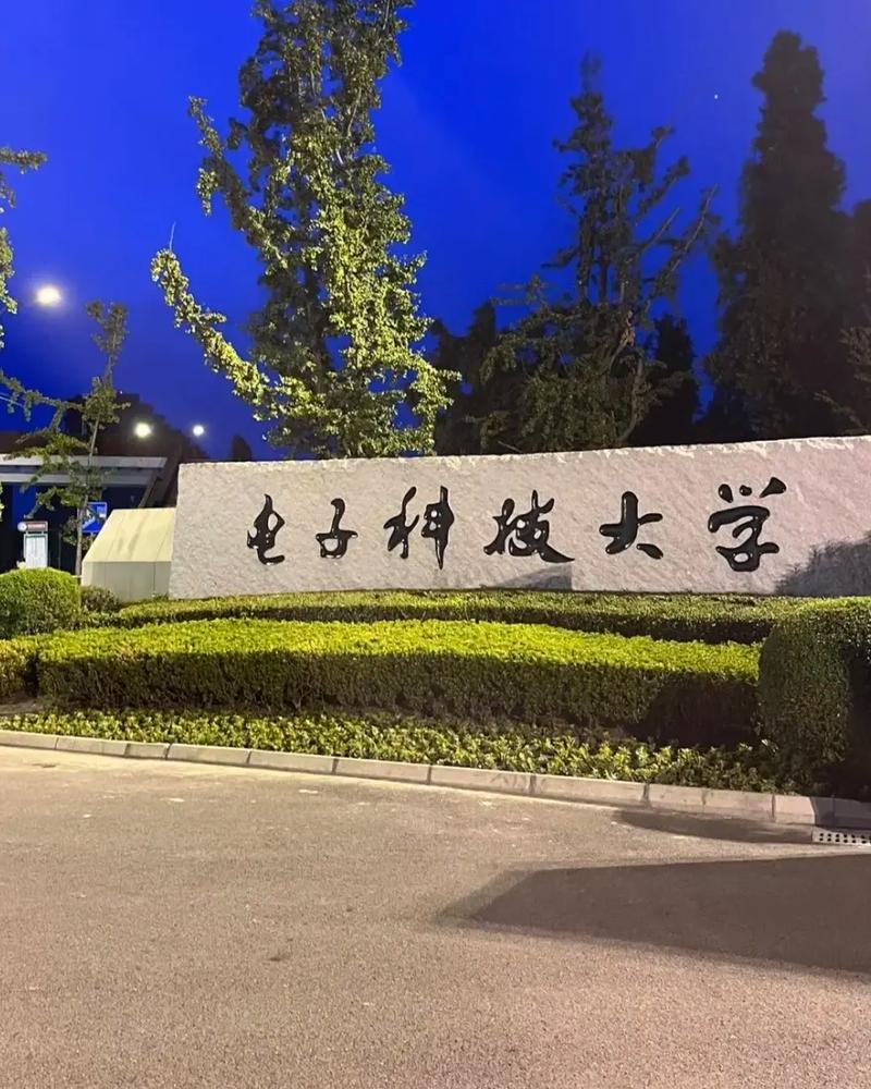 全国电子科技大学哪个好