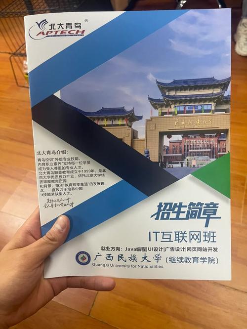 广西哪个大学有网络教育