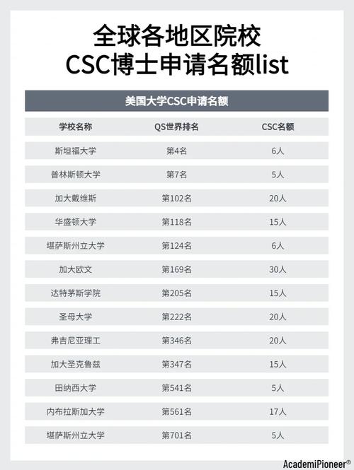 csc选派多少人