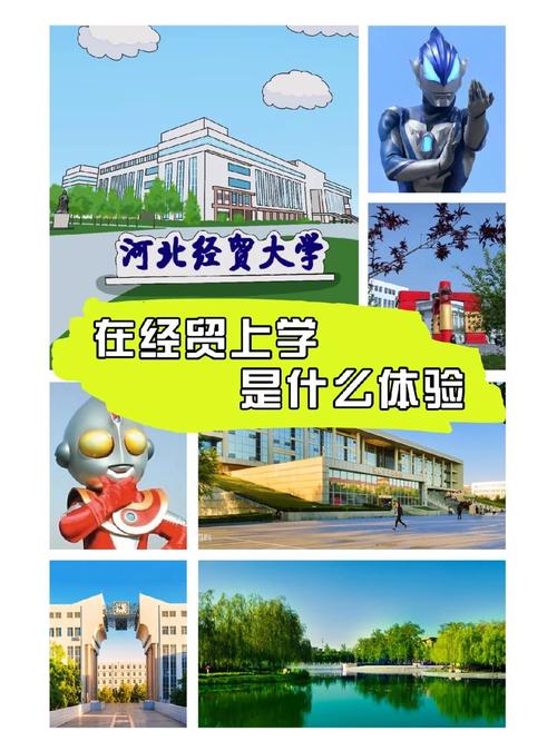 在河北去哪个城市上学