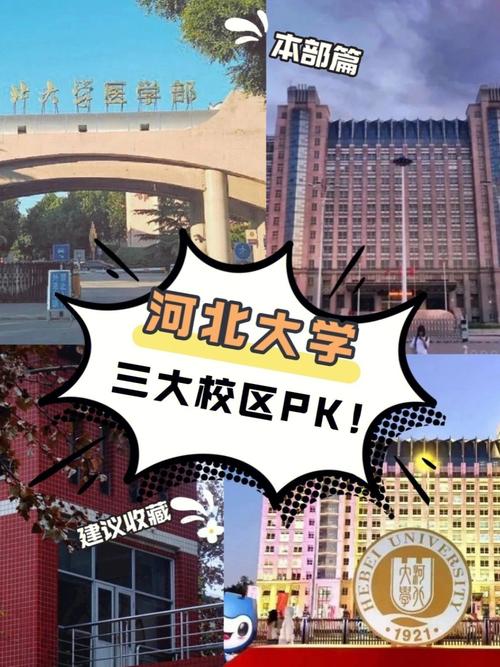 河北大学医学部 哪个区