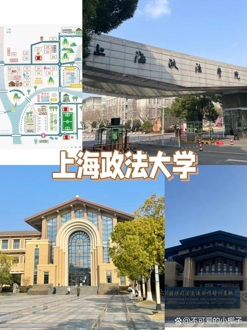 上海哪个法学院校国际化