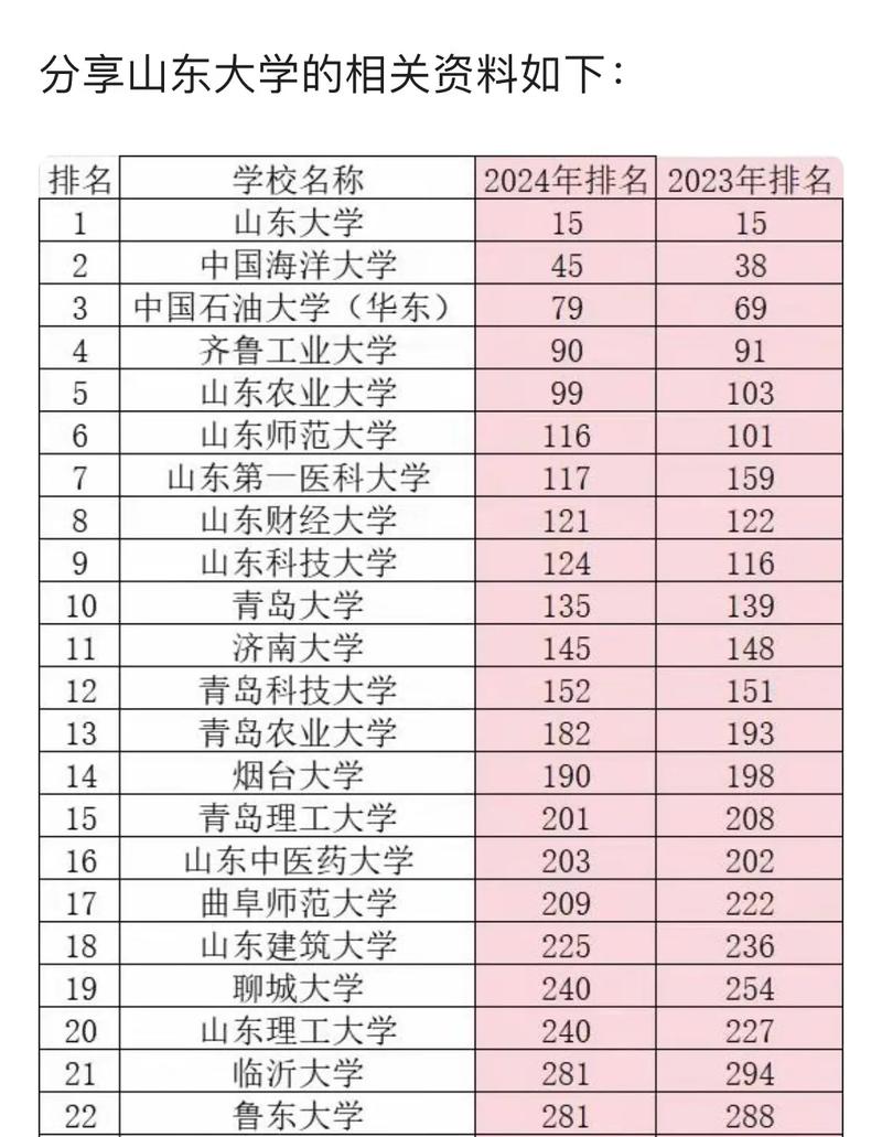 山东525分参考哪个大学