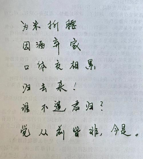 哨遍 苏轼有多少个字