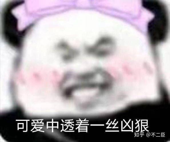 哪个大学人文实验班好