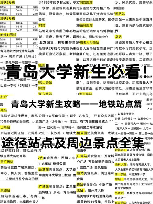 青岛大学数软与极客哪个好