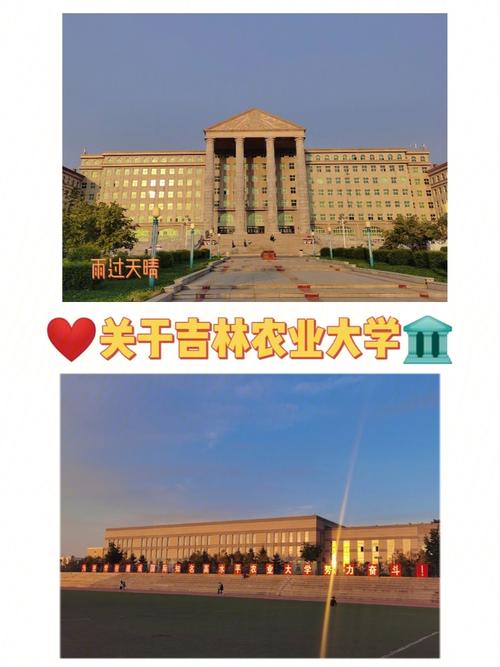 吉林农业大学哪个系好