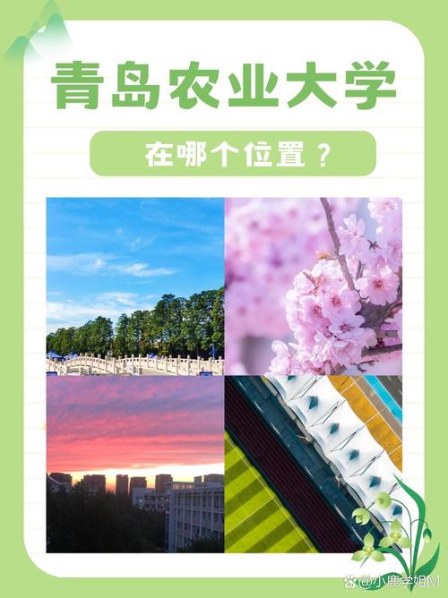 青岛农业大学在城阳哪个镇