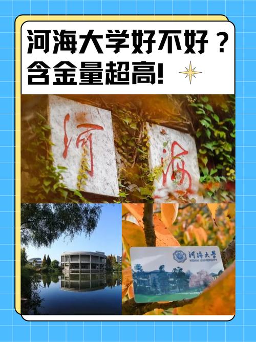 西农和河海大学哪个好