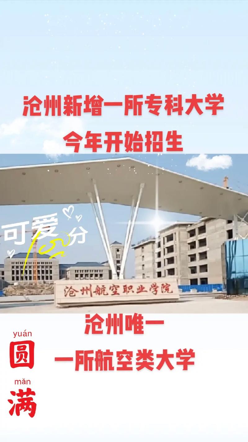 沧州的大学专科在哪个区