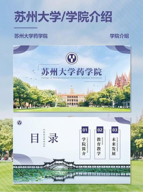 苏州大学多少学院