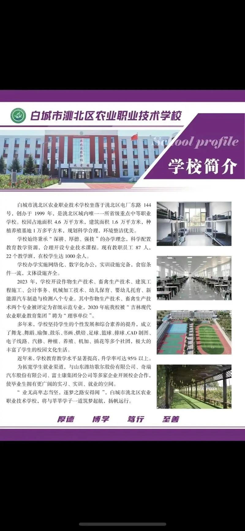 白城地区大学多少分