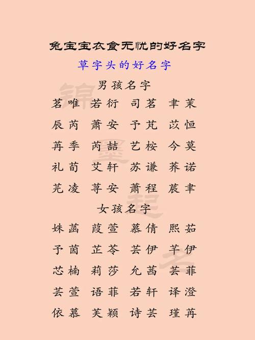 译圆名字多少分